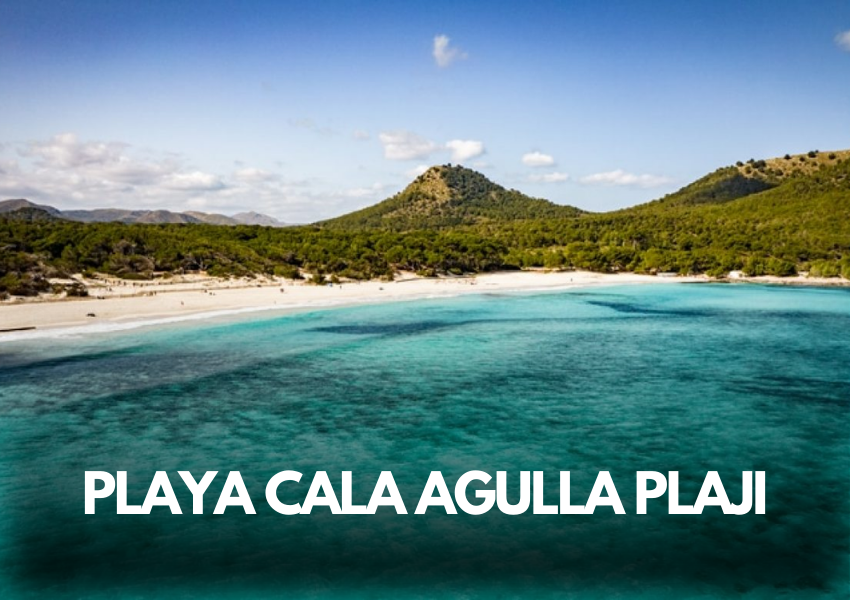 Playa Cala Agulla - Mayorka